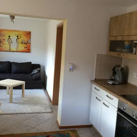 Urlaub Mit Blick Auf Schiltachs Fachwerkhaeuser Exterior photo