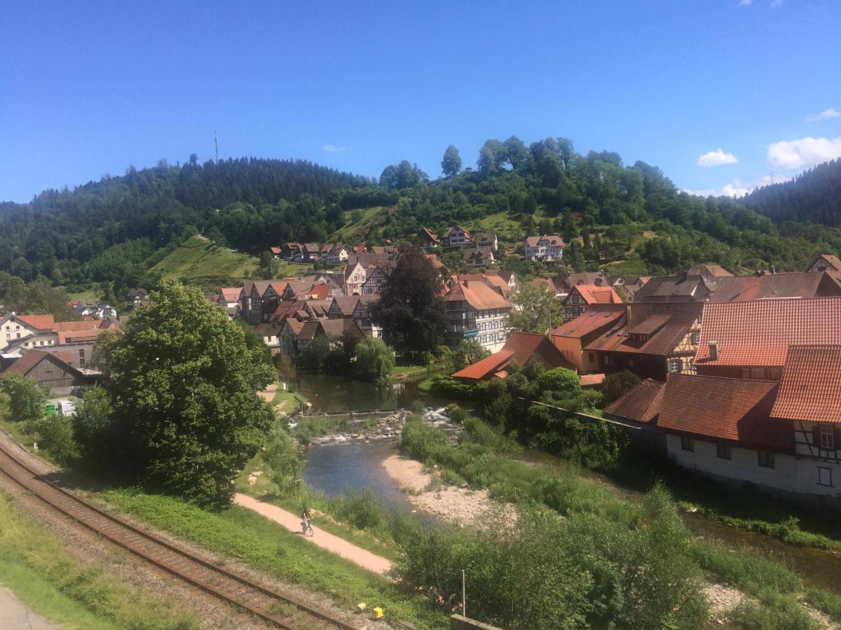 Urlaub Mit Blick Auf Schiltachs Fachwerkhäuser *